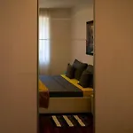 Lion 3* Split