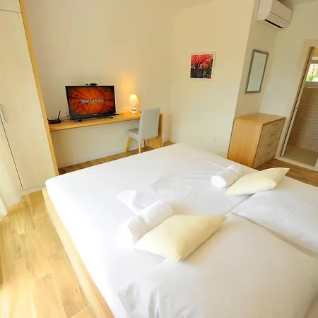 Guest house Lion