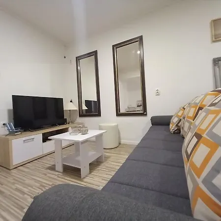 Lion Guest house *