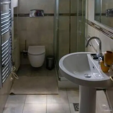 Lion Guest house *