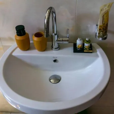 Lion Guest house