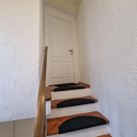 Lion Guest house
