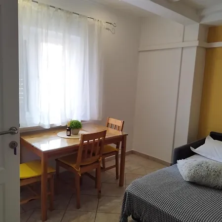 Guest house Lion *
