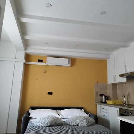 Guest house Lion *