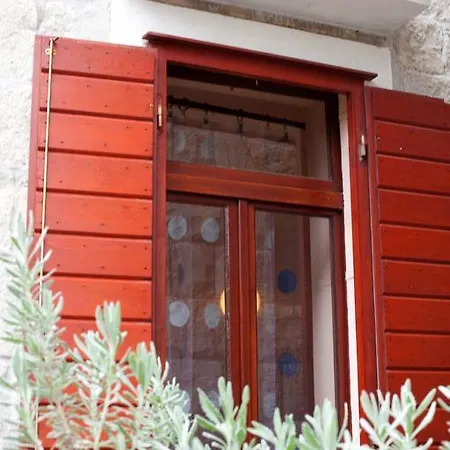 Lion Guest house