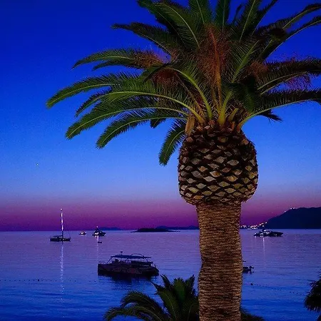 Lion Πανσιόν Σπλιτ